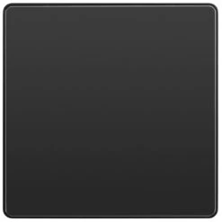 BG Evolve Black Chrome Single Blank Plate PCDBC94B