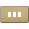 BG Evolve Satin Brass 3G Grid Plate RPCDSB3B